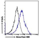 Flow Cytometry - Anti-MXD3/MAD3 Antibody (A83200) - Antibodies.com