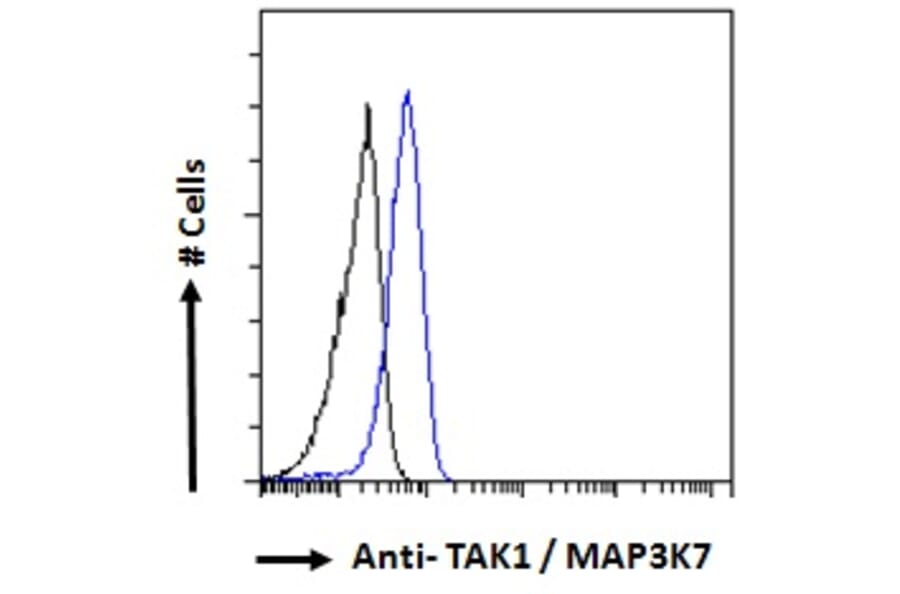 Flow Cytometry - Anti-TAK1 Antibody (A83207) - Antibodies.com