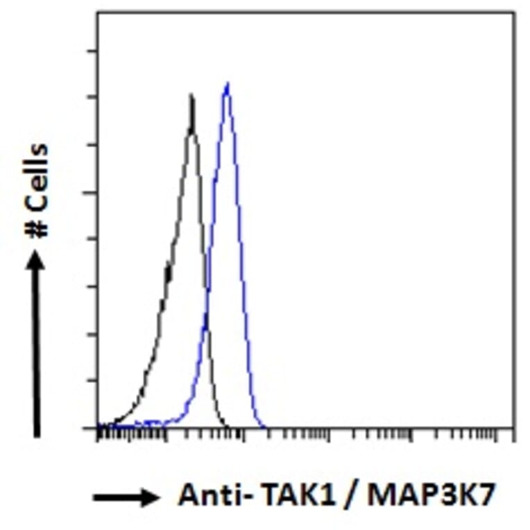 Flow Cytometry - Anti-TAK1 Antibody (A83207) - Antibodies.com