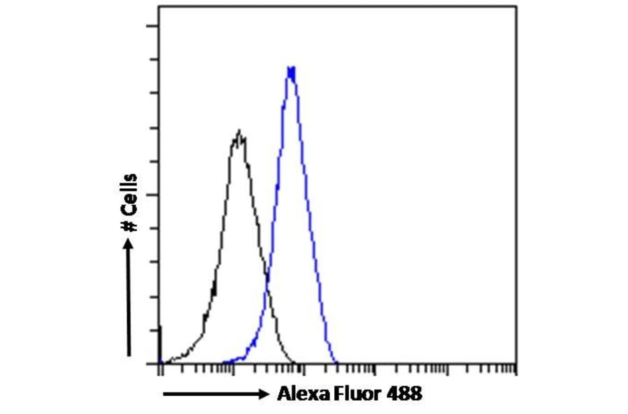 Flow Cytometry - Anti-Iba1 Antibody (A83214) - Antibodies.com