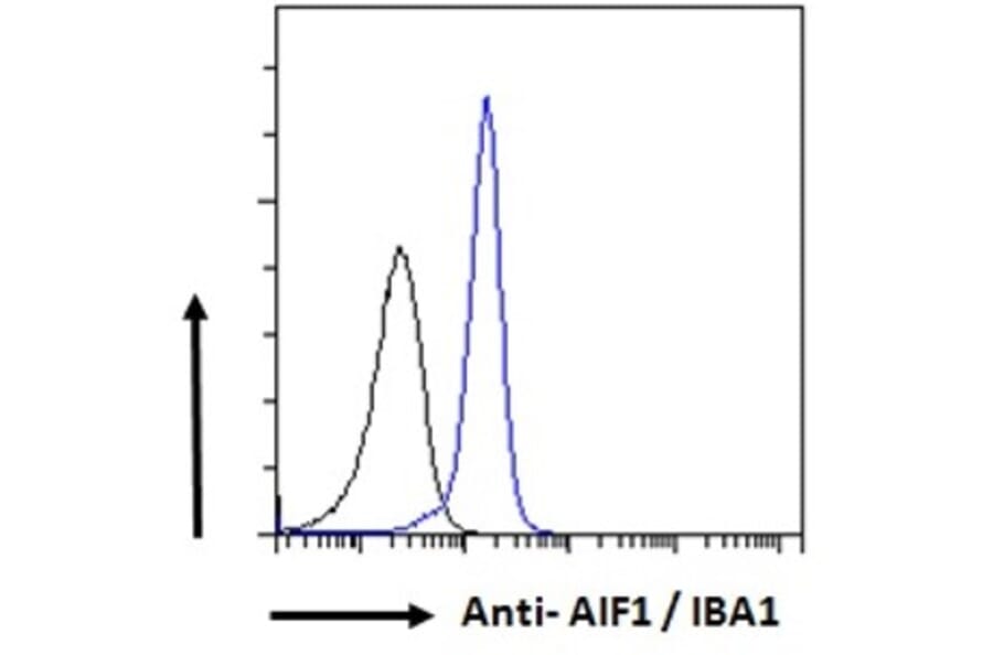 Flow Cytometry - Anti-Iba1 Antibody (A83222) - Antibodies.com
