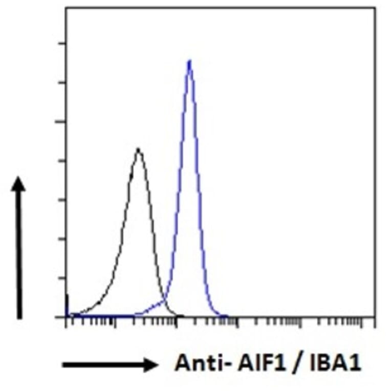 Flow Cytometry - Anti-Iba1 Antibody (A83222) - Antibodies.com
