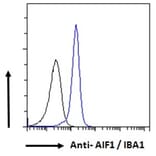 Flow Cytometry - Anti-Iba1 Antibody (A83222) - Antibodies.com