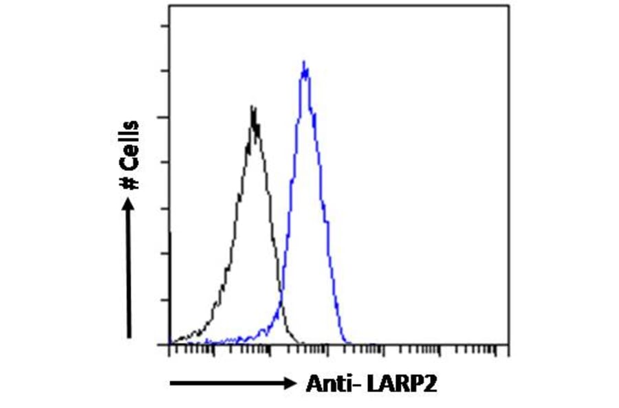 Flow Cytometry - Anti-LARP1B Antibody (A83229) - Antibodies.com