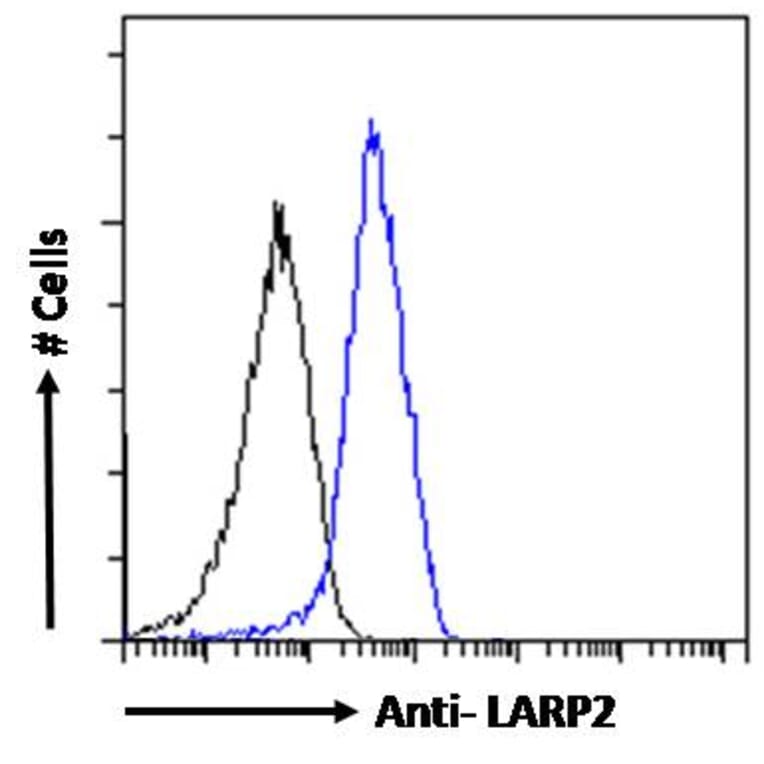 Flow Cytometry - Anti-LARP1B Antibody (A83229) - Antibodies.com