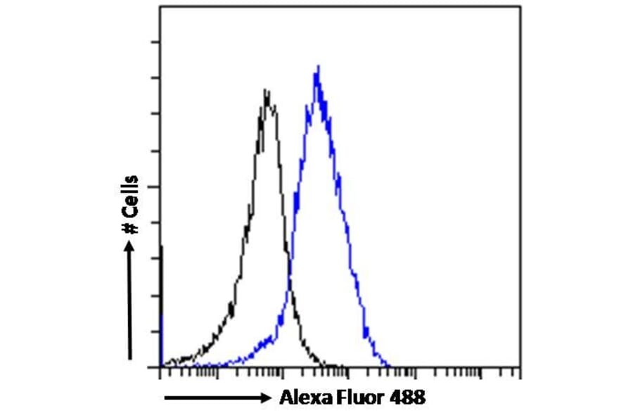 Flow Cytometry - Anti-PCK2 Antibody (A83245) - Antibodies.com