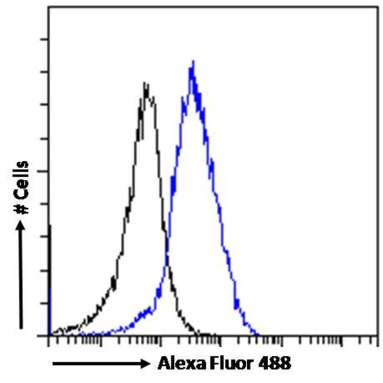 Flow Cytometry - Anti-PCK2 Antibody (A83245) - Antibodies.com