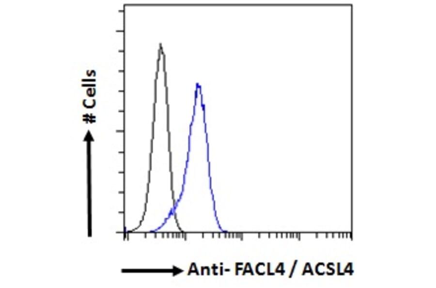 Flow Cytometry - Anti-FACL4 Antibody (A83246) - Antibodies.com