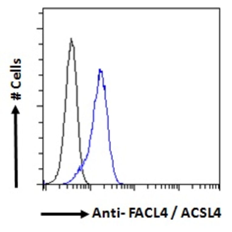 Flow Cytometry - Anti-FACL4 Antibody (A83246) - Antibodies.com