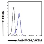 Flow Cytometry - Anti-FACL4 Antibody (A83246) - Antibodies.com