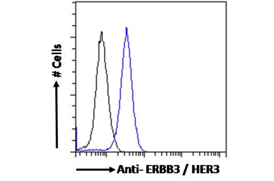 Flow Cytometry - Anti-ErbB3/HER3 Antibody (A83248) - Antibodies.com