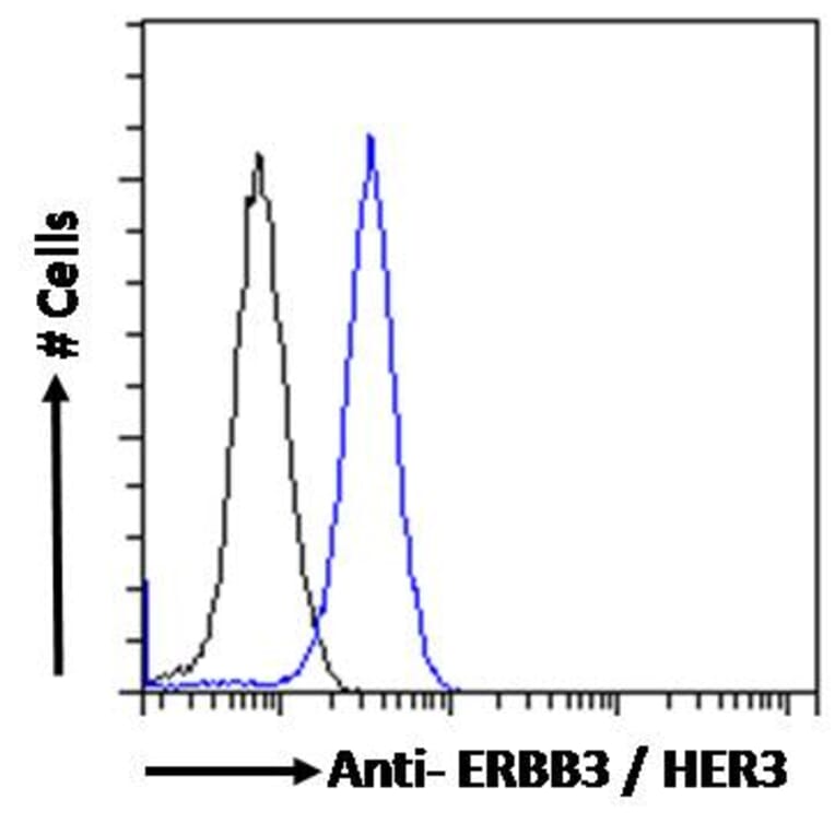 Flow Cytometry - Anti-ErbB3/HER3 Antibody (A83248) - Antibodies.com