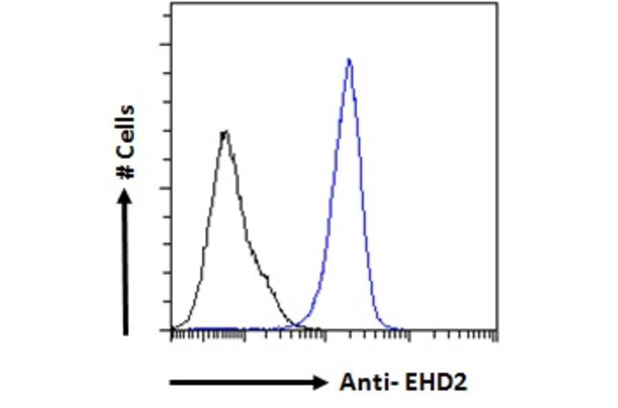 Flow Cytometry - Anti-EHD2 Antibody (A83258) - Antibodies.com