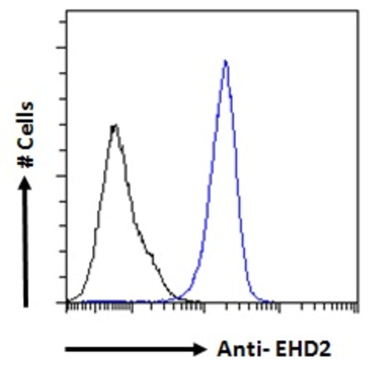 Flow Cytometry - Anti-EHD2 Antibody (A83258) - Antibodies.com