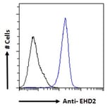 Flow Cytometry - Anti-EHD2 Antibody (A83258) - Antibodies.com
