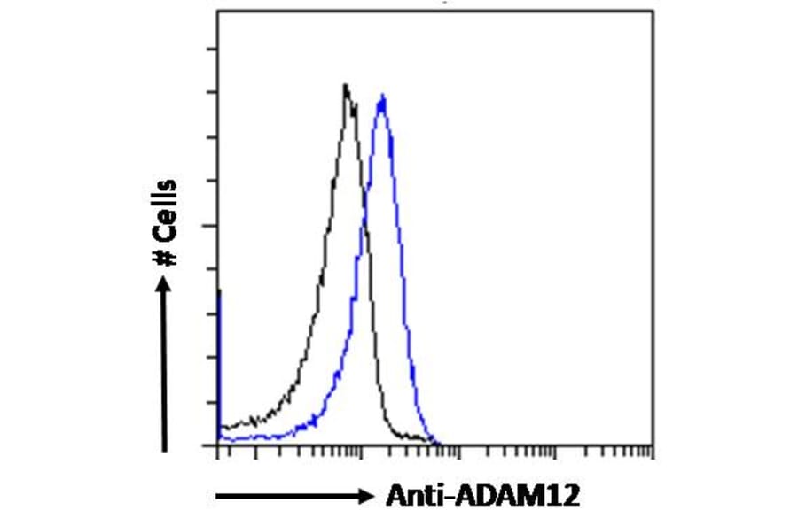 Flow Cytometry - Anti-ADAM12 Antibody (A83260) - Antibodies.com