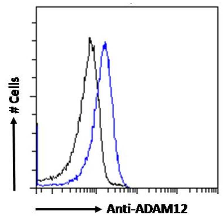 Flow Cytometry - Anti-ADAM12 Antibody (A83260) - Antibodies.com