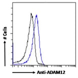 Flow Cytometry - Anti-ADAM12 Antibody (A83260) - Antibodies.com