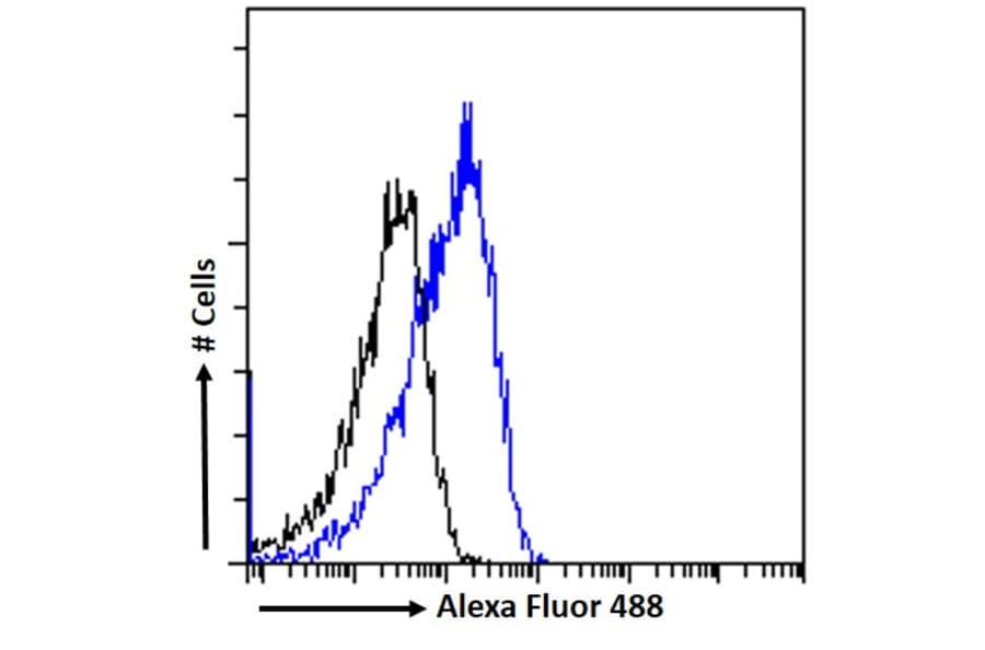 Flow Cytometry - Anti-OSBPL5/ORP5 Antibody (A83267) - Antibodies.com