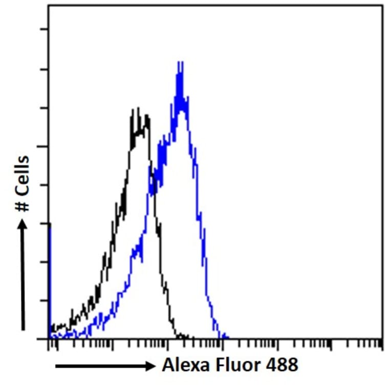 Flow Cytometry - Anti-OSBPL5/ORP5 Antibody (A83267) - Antibodies.com