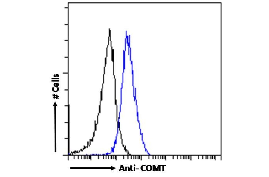 Flow Cytometry - Anti-COMT Antibody (A83269) - Antibodies.com
