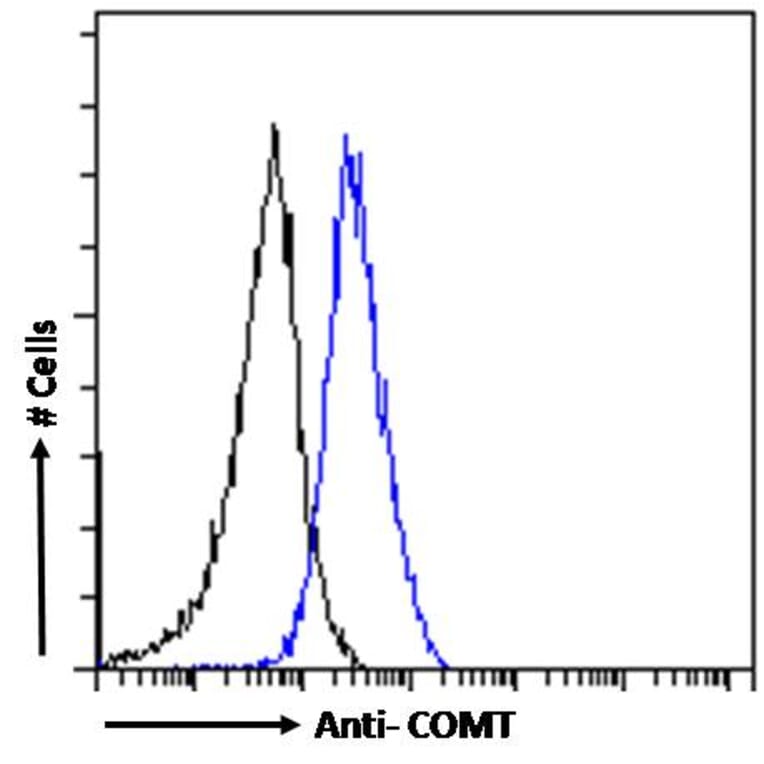 Flow Cytometry - Anti-COMT Antibody (A83269) - Antibodies.com