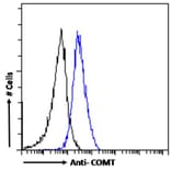 Flow Cytometry - Anti-COMT Antibody (A83269) - Antibodies.com