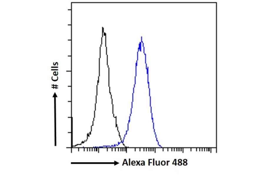Flow Cytometry - Anti-RAD51AP1 Antibody (A83275) - Antibodies.com