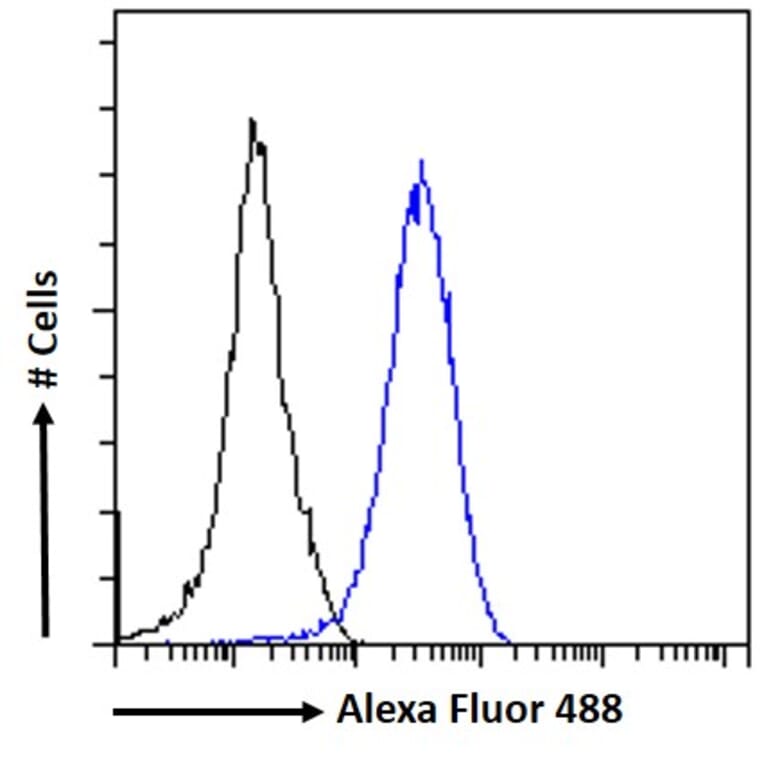 Flow Cytometry - Anti-RAD51AP1 Antibody (A83275) - Antibodies.com