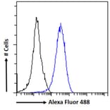 Flow Cytometry - Anti-RAD51AP1 Antibody (A83275) - Antibodies.com