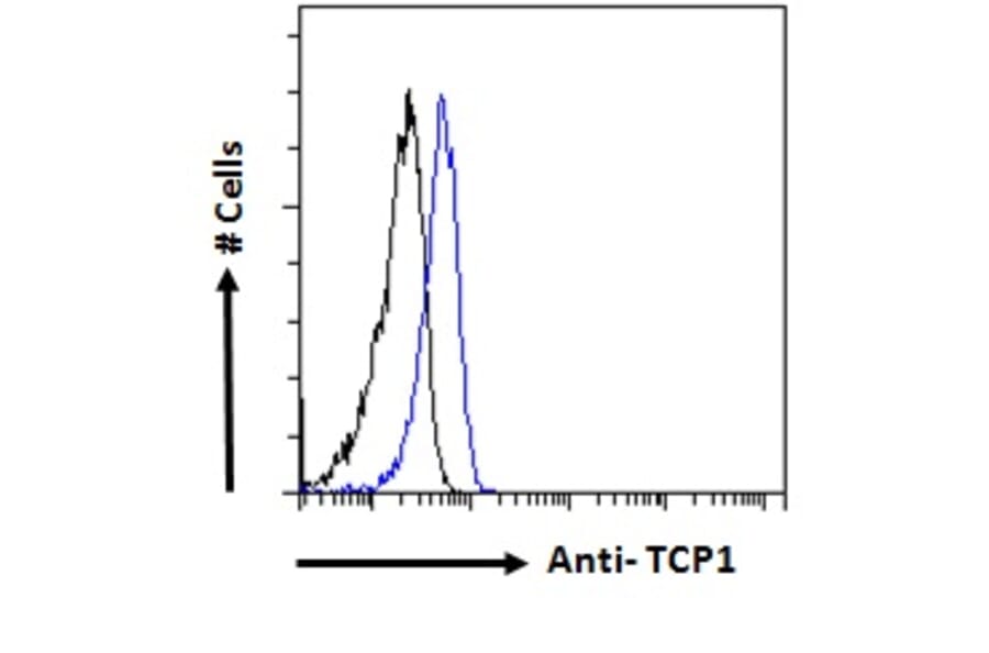 Flow Cytometry - Anti-TCP1 alpha Antibody (A83280) - Antibodies.com