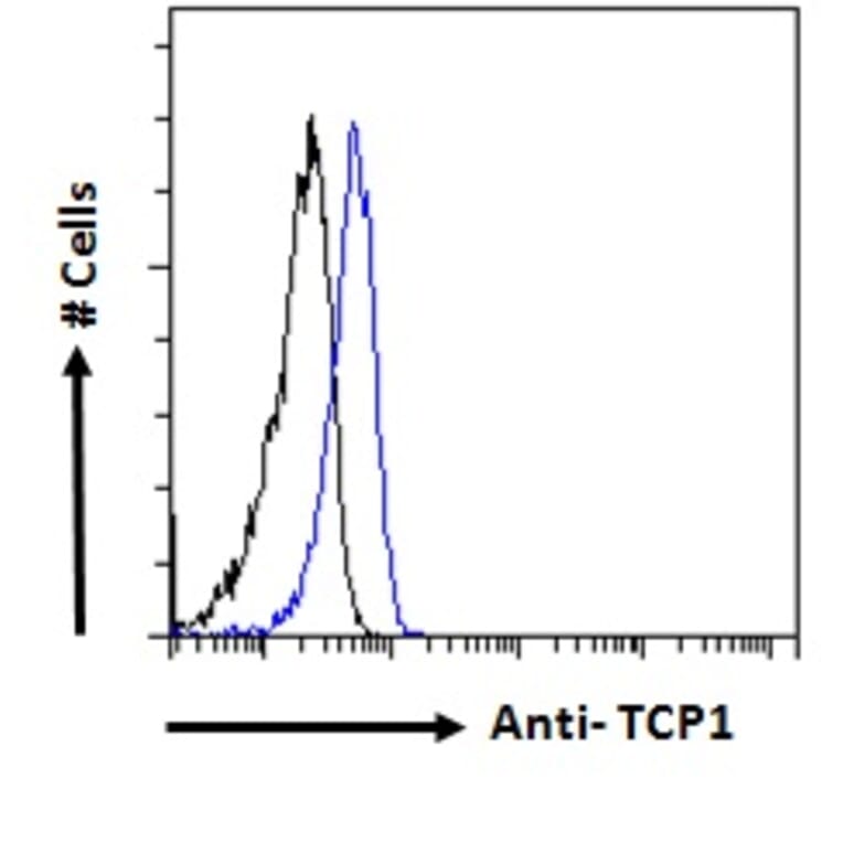 Flow Cytometry - Anti-TCP1 alpha Antibody (A83280) - Antibodies.com
