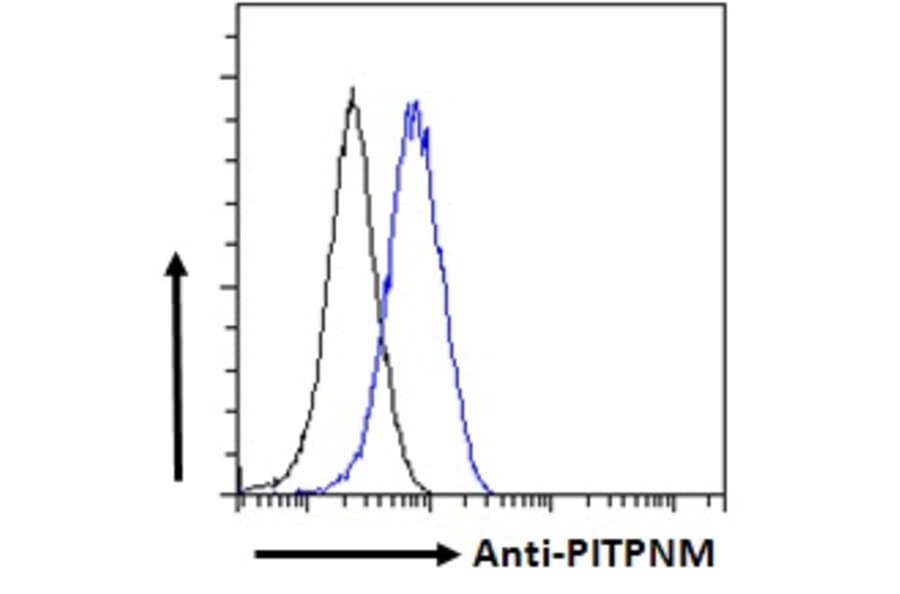 Flow Cytometry - Anti-NIR2 Antibody (A83281) - Antibodies.com