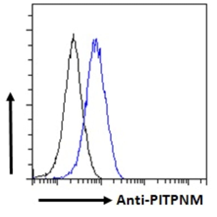 Flow Cytometry - Anti-NIR2 Antibody (A83281) - Antibodies.com