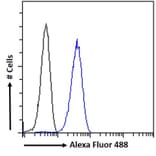 Flow Cytometry - Anti-H2R Antibody (A83284) - Antibodies.com