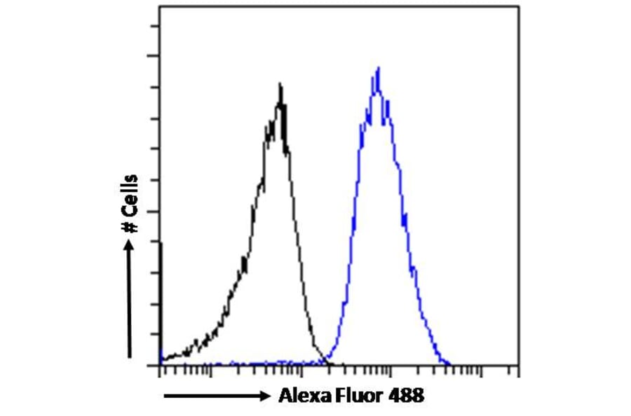 Flow Cytometry - Anti-beta Arrestin 2 Antibody (A83294) - Antibodies.com