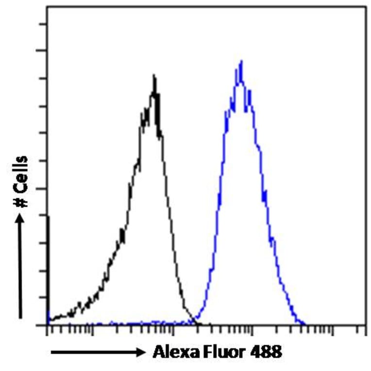 Flow Cytometry - Anti-beta Arrestin 2 Antibody (A83294) - Antibodies.com