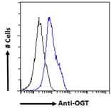 Flow Cytometry - Anti-OGT/O-Linked N-Acetylglucosamine Transferase Antibody (A83298) - Antibodies.com