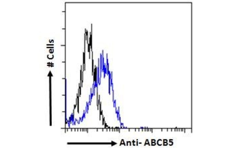 Flow Cytometry - Anti-ABCB5 Antibody (A83299) - Antibodies.com