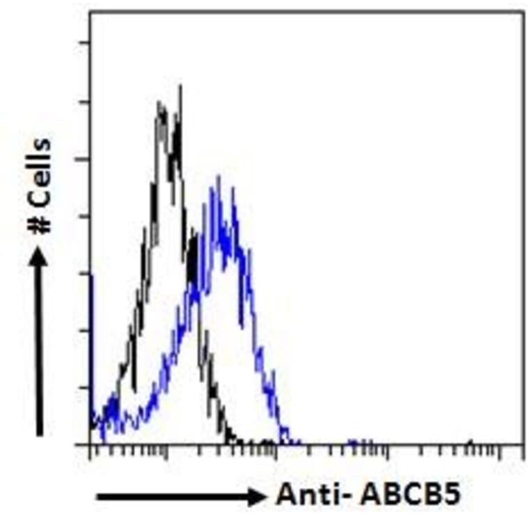 Flow Cytometry - Anti-ABCB5 Antibody (A83299) - Antibodies.com