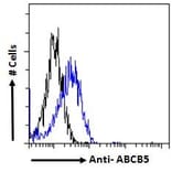Flow Cytometry - Anti-ABCB5 Antibody (A83299) - Antibodies.com