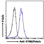 Flow Cytometry - Anti-IFT88 Antibody (A83301) - Antibodies.com