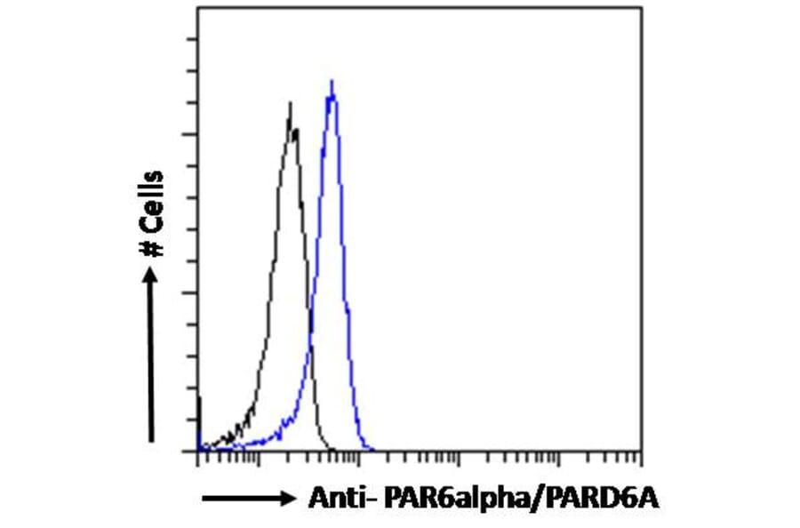 Flow Cytometry - Anti-PAR6 alpha Antibody (A83318) - Antibodies.com