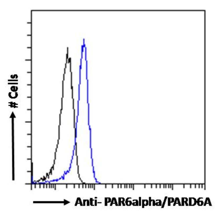 Flow Cytometry - Anti-PAR6 alpha Antibody (A83318) - Antibodies.com