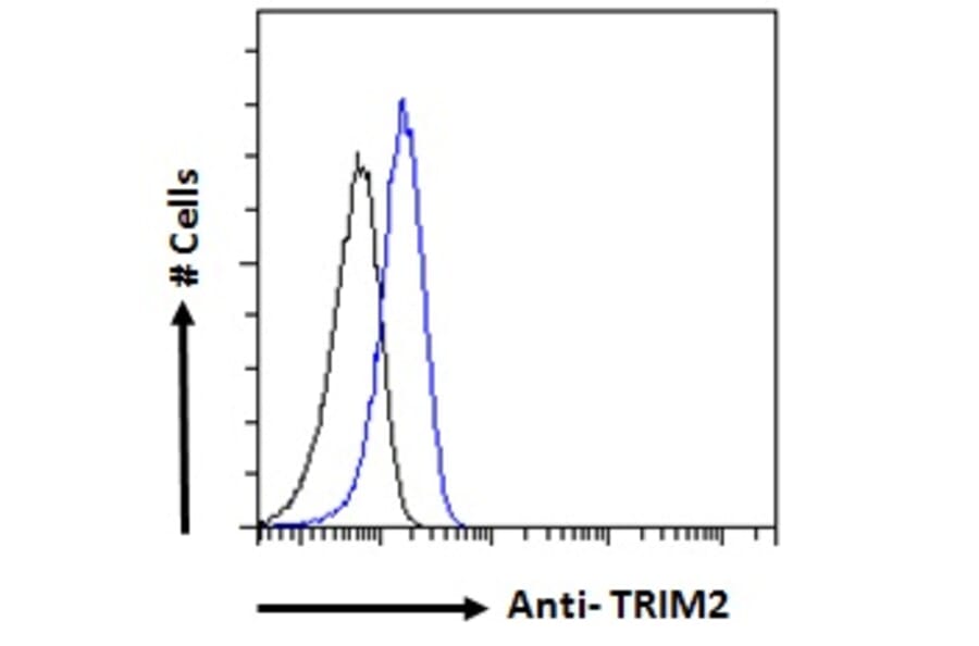 Flow Cytometry - Anti-TRIM2 Antibody (A83321) - Antibodies.com