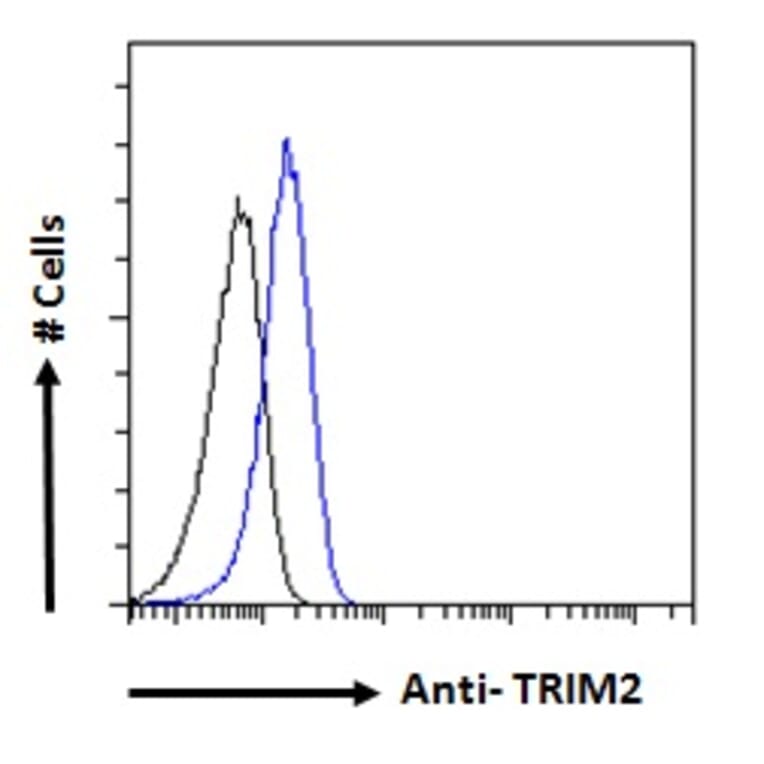 Flow Cytometry - Anti-TRIM2 Antibody (A83321) - Antibodies.com
