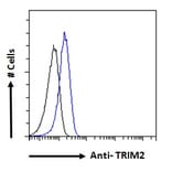Flow Cytometry - Anti-TRIM2 Antibody (A83321) - Antibodies.com