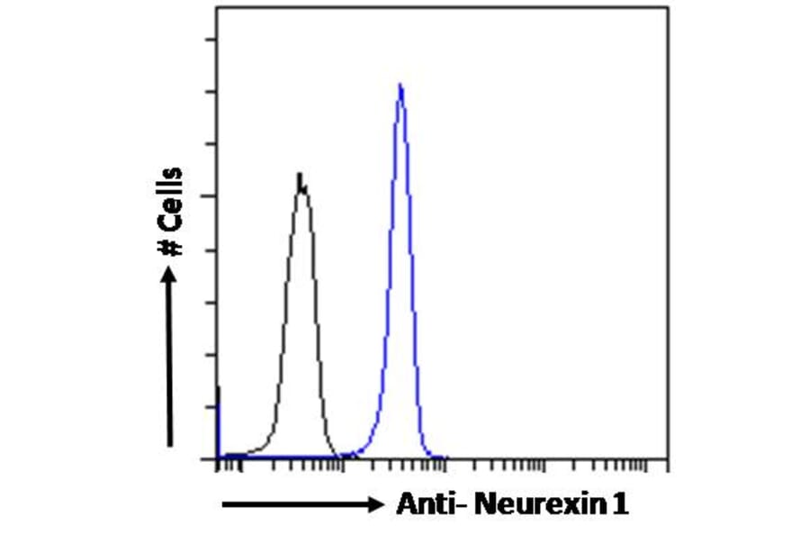 Flow Cytometry - Anti-Neurexin 1 Antibody (A83333) - Antibodies.com