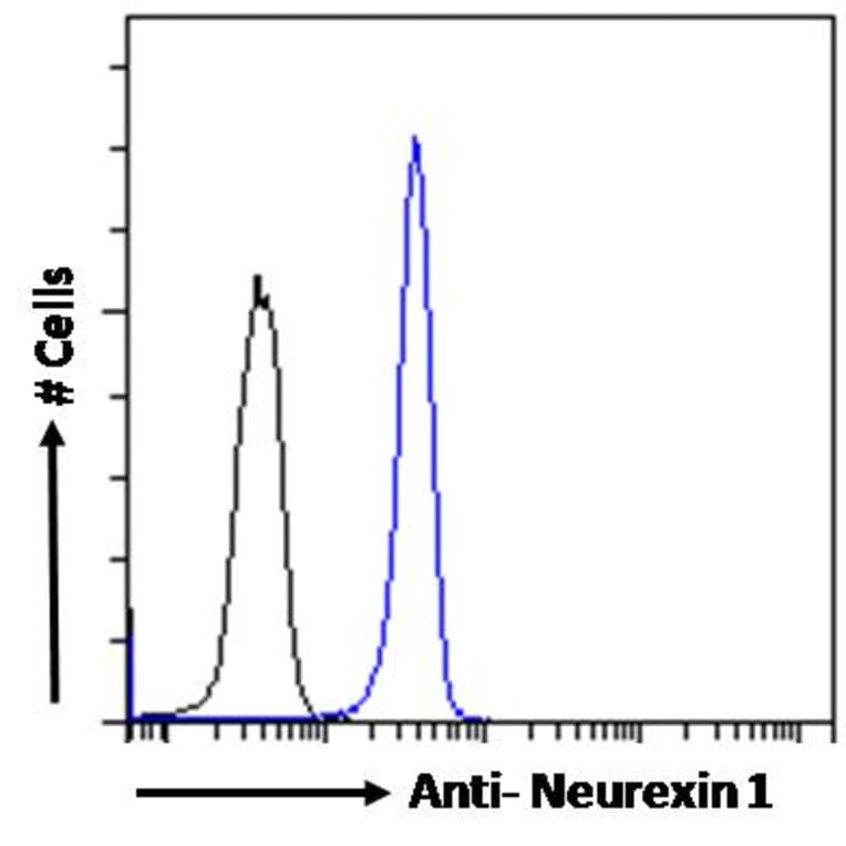 Flow Cytometry - Anti-Neurexin 1 Antibody (A83333) - Antibodies.com