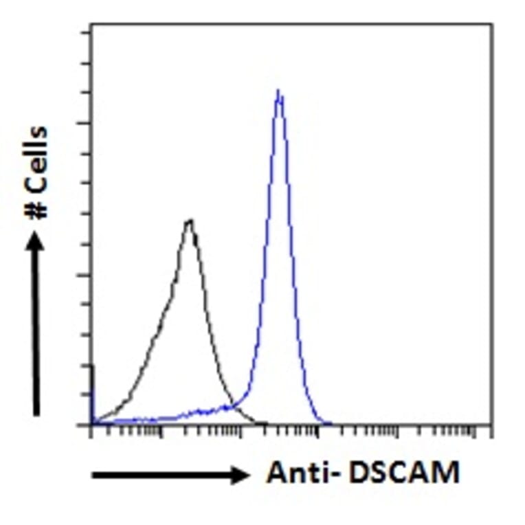 Flow Cytometry - Anti-Dscam Antibody (A83347) - Antibodies.com